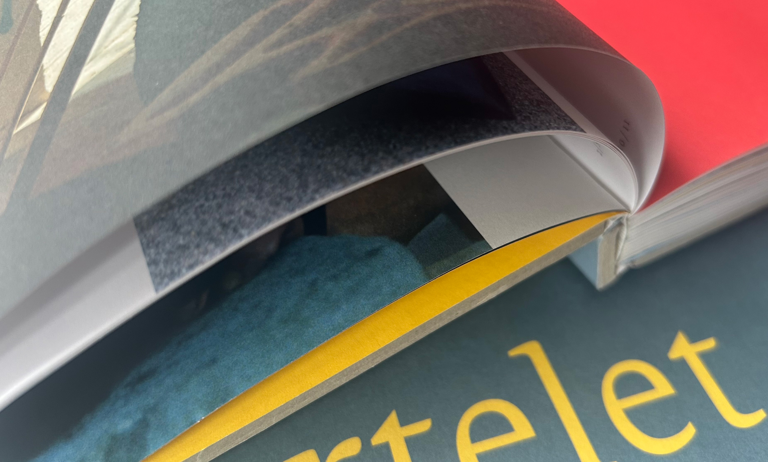 Het boek Hans Bartelet / schepper van schoonheid