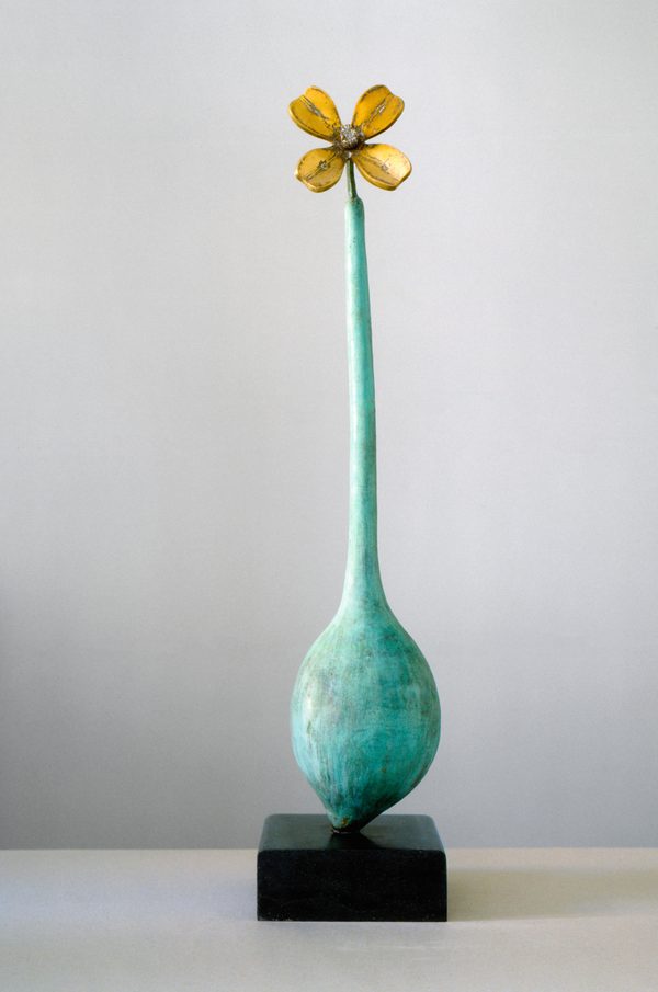 Carpe diem, 2005